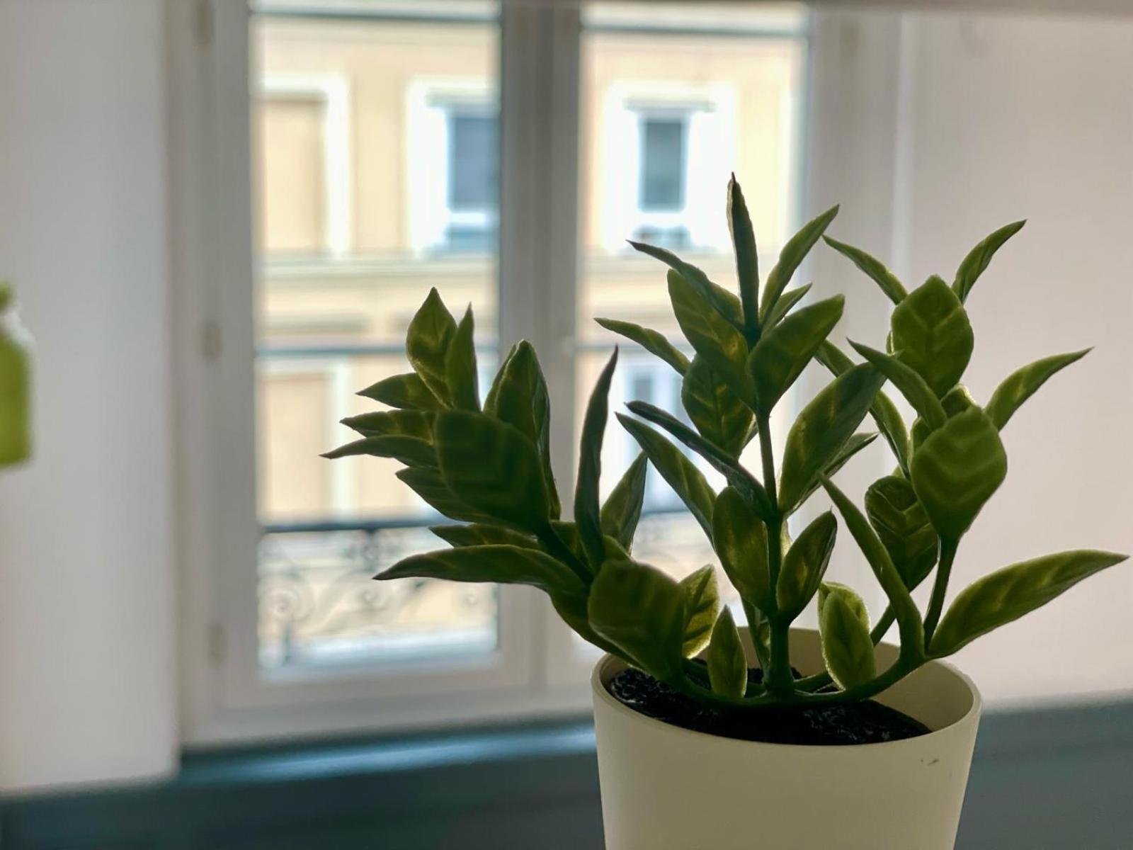 Apartment Fleurette - 311 *